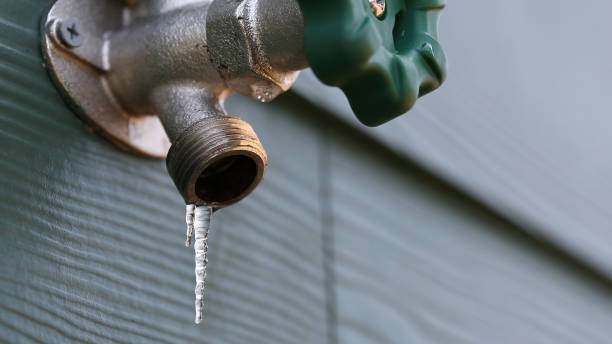 Best Plumbing Inspection Services  in Halesite, NY